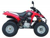 2010 Kreidler Mustang 250 photo